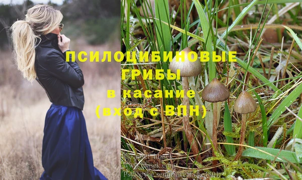 mdma Бородино